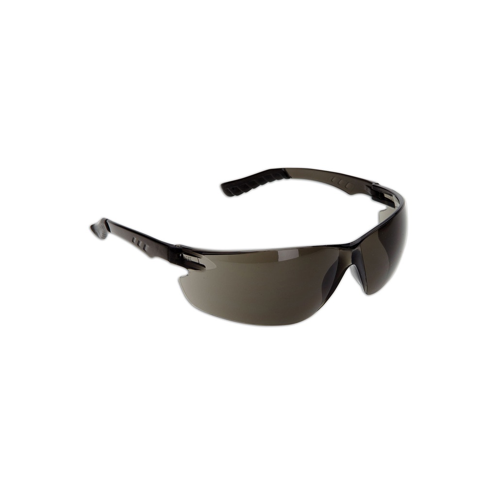 DSI EP850 Safety Glasses